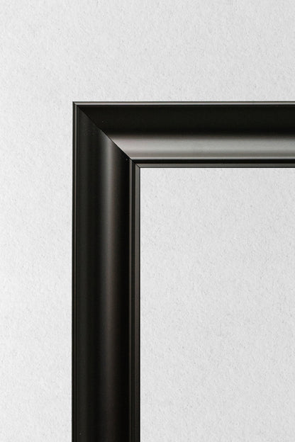 Noir Curve